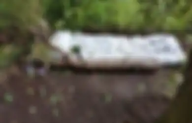 Dijuluki 'Hutan Penderitaan', Tempat Rimbun Pohon di Sebelah SD Ini Buat Orang Tua Murid Khawatir: Mereka Menjadikannya Prostitusi Terselubung