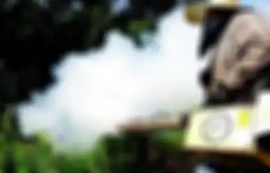 Nyamuk Demam Berdarah Merajalela di Musim Hujan dan Tak Mati Saat Kemarau, Ini Penjelasannya!
