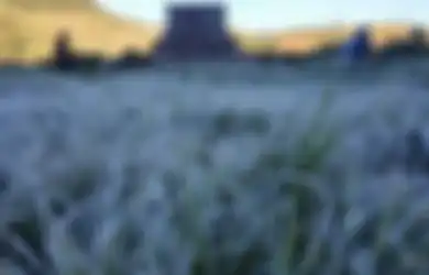 Sebenarnya Dulu di Indonesia Ada Musim Salju, Hawa Dingin Sekarang Tak Ada Apa-apanya
