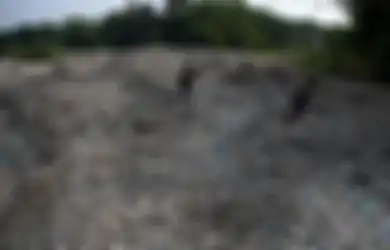 Foto-Foto Ini Tunjukan Kisah Warga Jawa Timur Kais Rezeki dari Daur Ulang Sampah
