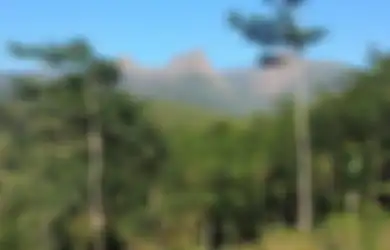 Pengakuan Para Pendaki Saat Berada di Gunung Piramid : Bagus Banget, Rasanya Saya Ingin Berlama-lama dan Kembali Lagi