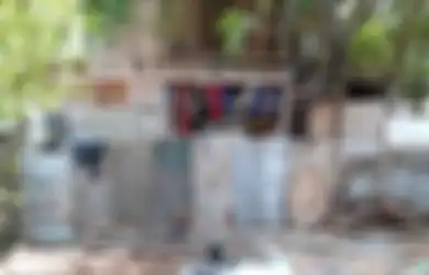 Berkedok Warung Rokok hingga Dijaga Preman, Inilah Penampungan Anjing Ilegal di Semanggi