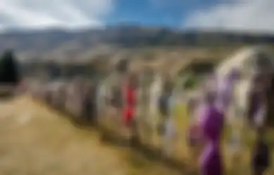 Cara Unik Warga Selandia Manfaatkan Sampahnya, Bra Jadi Penghias Pagar! Lihat Foto-fotonya