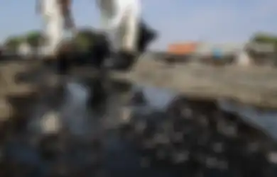 Limbahan Minyak di Pantai Karawang tak Kunjung Menghilang. Warga Gotong-Royong Membersihkan, Foto-foto Ini Buktinya