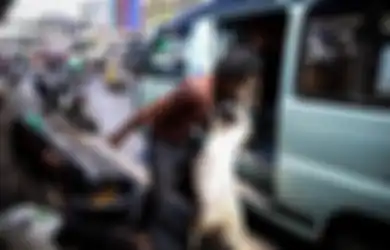 Foto-Foto Ini Buktikan Kawasan Tanah Abang Semrawut Karena Hewan Kurban Dijajakan di Trotoar, Begini Alasan Pemkot