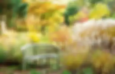 Anak DYI Merapat, Yuk Hadirkan Bangku Taman di Rumah dengan Gunakan Bata dan Kayu!