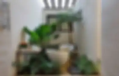 Suka yang Berbau Alam? Begini Trik Padukan Kamar Mandi dengan Vertikal Garden