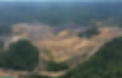 Perpindahan Ibu Kota Disebut Ancam Kehidupan Satwa Liar dan Kelestarian Hutan, Begini Kata Menteri PUPR...