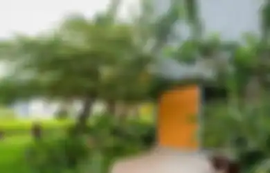 Bukan dengan Garam, Usir Ular dari Rumah dengan Pewangi Ruangan!