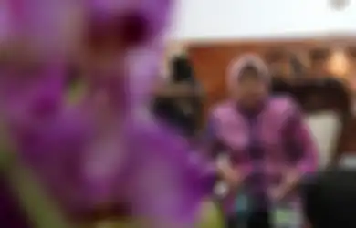 Diam-diam Blusukan Tanpa Kawalan Pemda, Mensos Risma Ngamuk Pergoki Bansos Warga Disunat Sampai Rp 50 Ribu Per Paket: Siapa, Sebut Namanya!