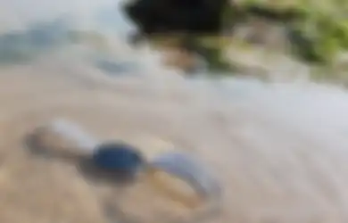 Cara Mudah Menjaga Samsung Watch Active di Dalam Air Laut