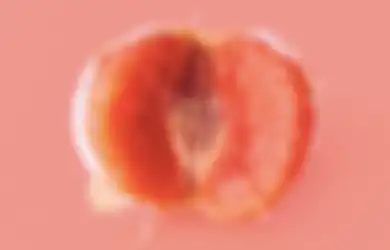 Mau Vagina Selalu Sehat? Makan 5 Buah Ini Jadi Kunci Utamanya!