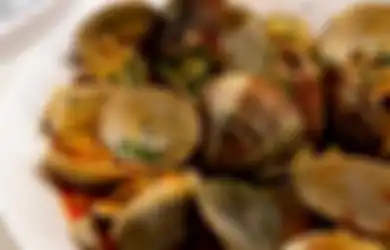 Doyan Makan Kerang? Ternyata Banyak Manfaatnya Bagi Kesehatan, nih!