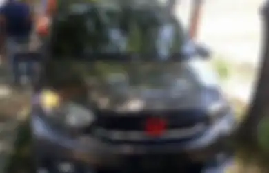Niat Berbuat Asusila di Dalam Mobil Dengan Selingkuhan, Kepala Desa Ini Mendadak Meninggal Dunia, Begini Kronologinya!
