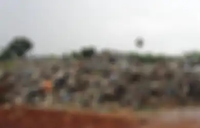 Ramai Soal Telur yang Terkontaminasi dan Pabrik Tahu yang Gunakan Sampah Plastik, Ternyata Sampahnya dari Limbah Impor