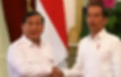 Tunjuk Prabowo Subianto Jadi Pemimpin Proyek Lumbung Pangan, Jokowi Kena Kritik Anggota Komisi I DPR: Itu Bukan Tupoksinya Kementerian Pertahanan