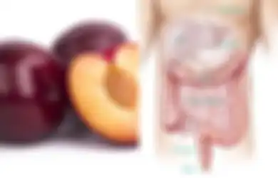 Ini Dia 7 Manfaat Kesehatan Buah Plum yang Tidak Anda Kira, Salah Satunya Bantu Mencegah Kanker Usus