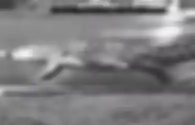 Video Mengerikan, Baru Ketahuan Bahwa Buaya Ternyata Mampu Berlari Seperti Kuda hingga Kecepatan 17 Km/jam, Ilmuwan: Manuver yang Baik