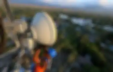 Open Signal Nyatakan XL Axiata Unggul di Kecepatan Unduh dan Streaming video