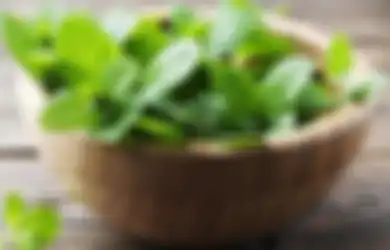 Buat Obat Jerawat, Ini 4 Manfaat Daun Mint untuk Kecantikan yang Jarang Diketahui!