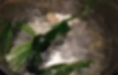 Jangan Dikira Cuma Pewangi dan Pewarna Hijau Makanan Saja, Coba Deh Minum Air Rebusan Daun Pandan Pagi dan Sore Hari, Rasakan Manfaatnya yang Tak Terduga Ini