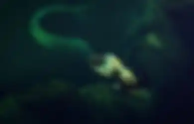 Bikin Merinding, Pria Ini Temukan Sesosok Putri Duyung di Antartika Melalui Google Earth, Lengkungan Indahnya Tertangkap Kamera Satelit: Kita Datang dari Laut, Tidak Seperti Monyet