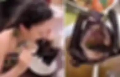 Banyak yang Bilang Cewek Ini yang Nyebarin Virus Corona Gara-gara Makan Kelelawar, Tapi Sebenarnya Apa Fakta dan Nasib Dirinya Sekarang?