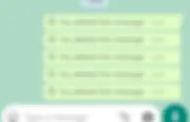 Obati Penasaran Lo, Begini Cara Lihat Chat WhatsApp yang Udah Kehapus
