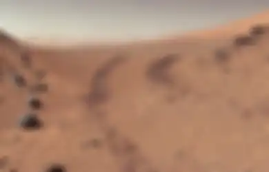 Peneliti Bereksperimen pada Tanaman Ganggang buat Kehidupan di Mars