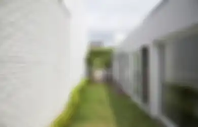  Pantas Saja Becek Terus, Begini Cara Atasi Taman Kena Cipratan Hujan, Tinggal Tebarkan Benda Satu Ini