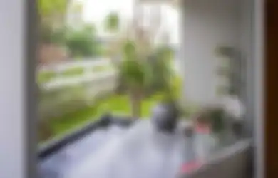 Mengapa Pohon Sangat Bermanfaat Bagi Kehidupan Manusia? Wajib Tahu!