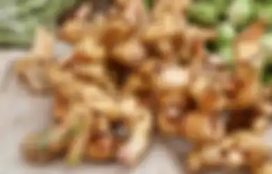 Pantas Sudah Tua Tak Pernah Sakit-sakitan, Ternyata Rahasianya Cuma Minum Air Rebusan Kencur, Dijamin Tubuh Bisa Terhindar dari Penyakit Mematikan Ini