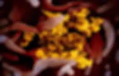 Peneliti Kaget Ketika Bongkar Jenazah Korban Virus Corona, Ternyata Organ Dalam Ini yang Dirusak Covid-19
