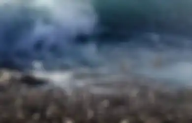 Terawangannya Jarang Meleset, Mbak You Ingatkan Ada Air Laut Pindah Ke Darat, Ternyata Riset Tim ITB Beberkan Hasil yang Sama