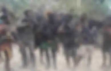 Disangka Mata-mata, KKB Papua Tembak Mati Warga Sipil di Intan Jaya, Undius Kogoya Kirim Surat ke TNI Usai Lakukan Aksi Keji, Apa Isinya?