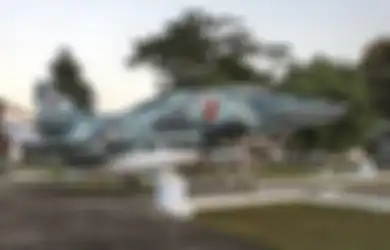 Tangan Kanan Soeharto Akali Pembelian Pesawat Tempur dari Israel, Komandan Teknisi TNI AU Ternyata Bikin Keputusan Aneh Saat Jet Bekas Itu Tak Juga Berhasil Diperbaiki: 'Tanam Kepala Kerbau'