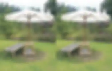 Berbagi IDEA 4 Hal Wajib Tahu Saat Pilih Material Furnitur Taman