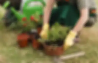 Usir Rasa Jenuh dan 5 Manfaat Berkebun yang Sayang Kalau Dilewatkan