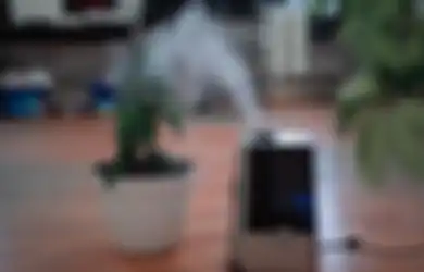 Dokter Reisa Terlanjur Bilang Air Purifier Bisa Kurangi Penularan Virus Corona, Ahli Malah Ungkap Fakta Sebaliknya, Mana yang Benar?