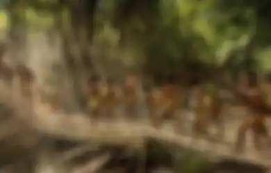 Pertahanan Terakhir Hutan Amazon Terancam Covid-19, Militer Brasil Mati-matian Tembus Belantara, Tapi yang Dibawa Malah Zat Berbahaya