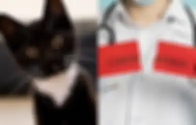 Konon Berkhasiat Tinggi Tangkal Corona, di Vietnam Kucing Hitam Laris Diburu Untuk Dibantai Kemudian Dikonsumsi, Aktivis Pecinta Hewan: Ini Tingkat Kekejaman yang Tak Masuk Akal!
