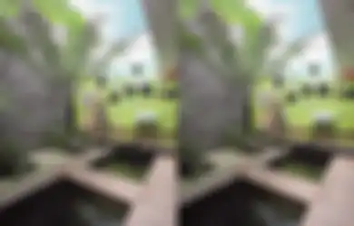 Mengadaptasi Eksisting Rumah untuk Keindahan Desain Taman Kering, Ini Caranya!