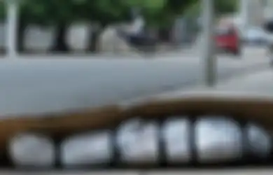 Presiden Ekuador Menangis & Akui 'Gagal' Tangani Corona, Mayat Bergelimpangan di Jalan: 'Kami Melihat Mereka Membakar Mayat di Jalan'