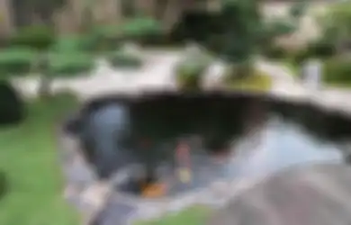 Pertanyaan Paling Umum Saat Membuat Kolam Ikan, Ini Penjelasannya! (2)