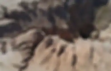 Geger KTP WNI Tertangkap Kamera di Markas ISIS Yaman, Inilah Fakta Alamat Rumahnya di Mojokerto