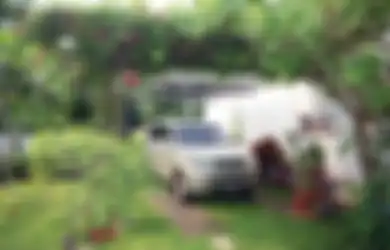 Tinggal di Perkotaan Rawan Polutan dan Keadaan Tanah Tak Ideal? Ini Pilihan Tanaman sebagai Solusi