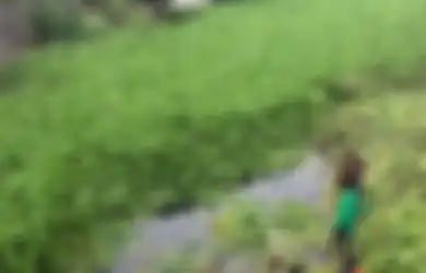 Tuliskan Tahap Awal Eceng Gondok untuk Dapat Menjadi Bahan Baku Kerajinan! Jawaban Soal Pesona di Balik Eceng Gondok TVRI Jumat 15 Mei 2020