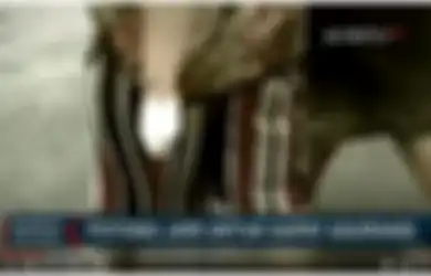 Niat Cari Untung Malah Buntung, Wanita Ini Sengaja Potong Jari Tangan Agar Dapat Asuransi, Ujung-ujungnya Terancam 7 Tahun Bui