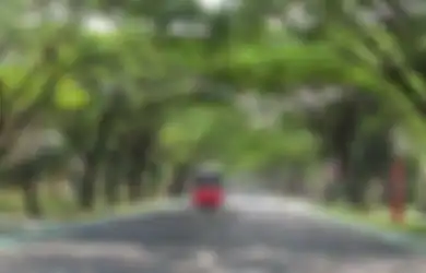 Di Tengah Pandemi Covid-19 Prospek Properti Masih Bagus Khususnya Bagi Pengembang yang Mengusung Konsep Hunian Hijau, Ini Buktinya!