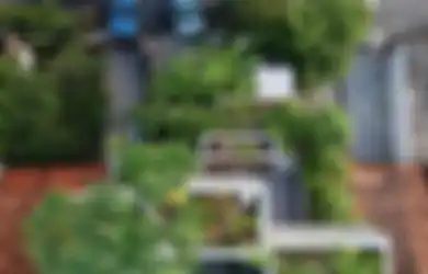 Rumah di Tengah Kota Ini Dirancang Cocok untuk Berkebun Pemiliknya Pasca Pensiun